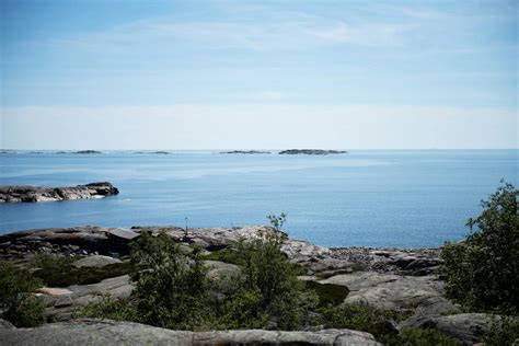  Elfgift! Ikuinen Oppi Kunnioituksesta Luontoon ja Mahdillisen Tarpeen Tasapainosta!